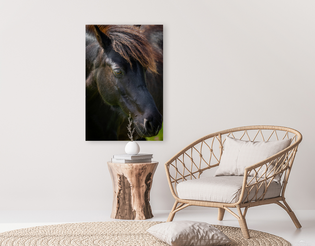 Pony 6 Reproduction