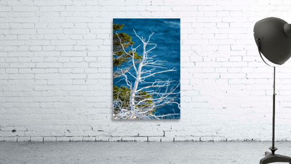 Weathered Wall Preview