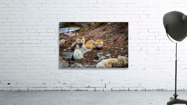 Two Cute Wall Preview