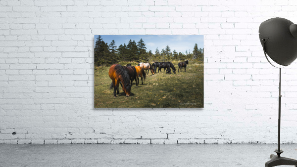 Grazing Wall Preview