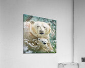 Intimate photo of polar bear and his son Acrylic Print