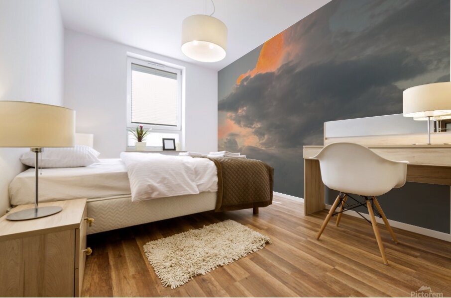 Florida Sun Selects 10 Mural print
