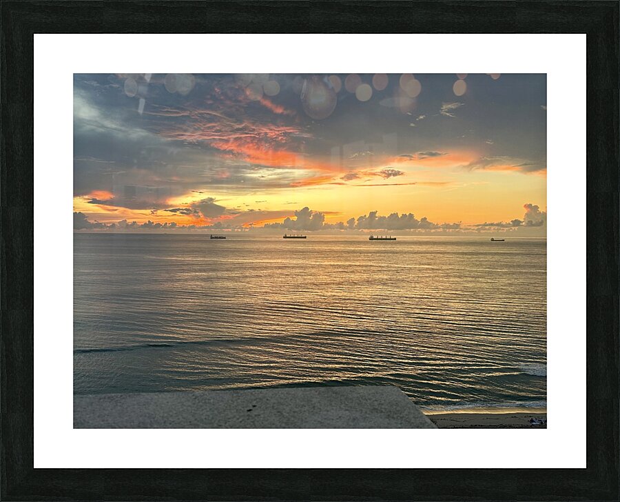 Florida Sun Selects  Picture Frame print
