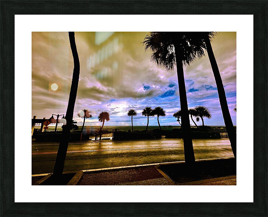 Florida Sun Selects 2 Picture Frame print
