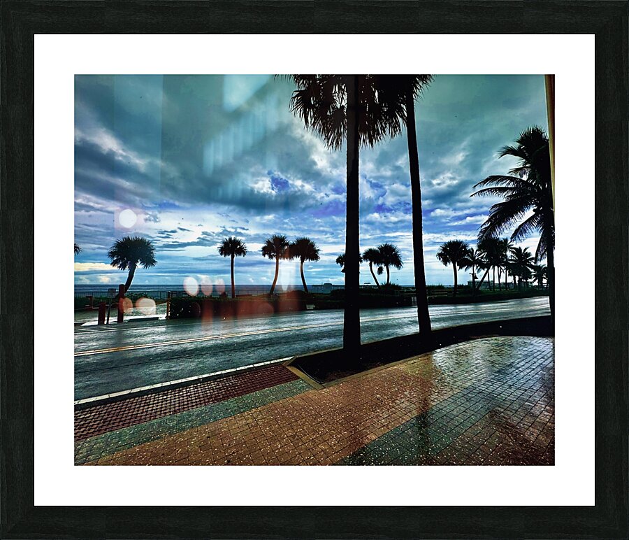 Florida Sun Selects 3 Picture Frame print