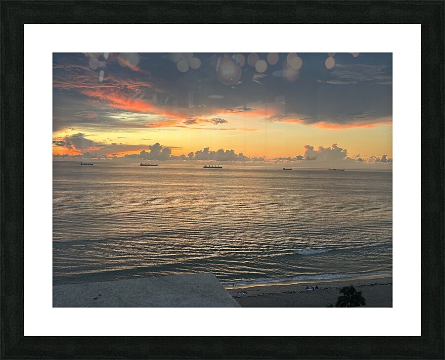 Florida Sun Selects 7 Picture Frame print