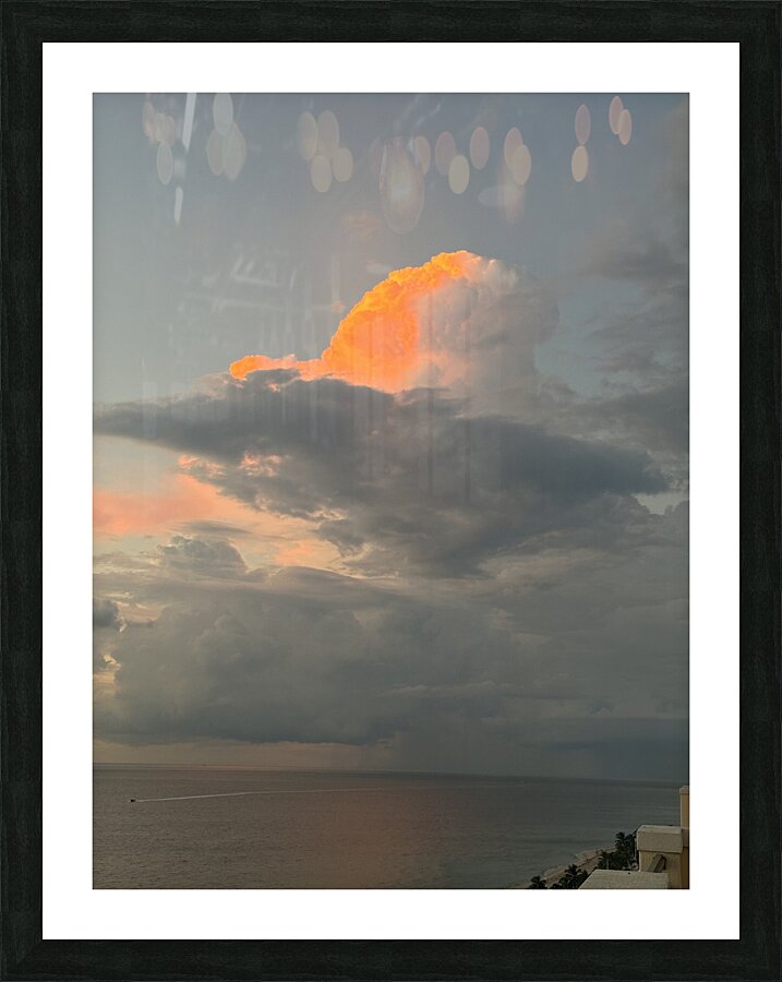 Florida Sun Selects 10 Picture Frame print