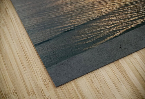 Florida Sun Selects  marcography puzzle