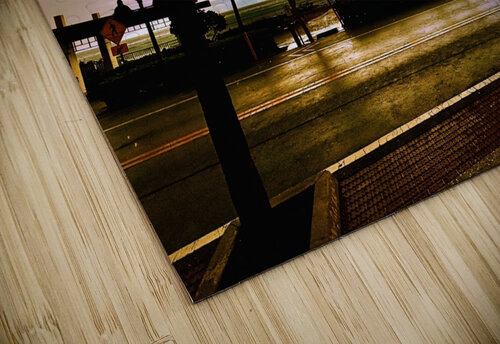 Florida Sun Selects 2 marcography puzzle