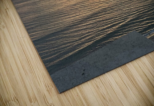 Florida Sun Selects 7 marcography puzzle