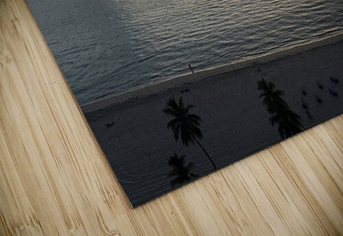Florida Sun Selects 12 marcography puzzle