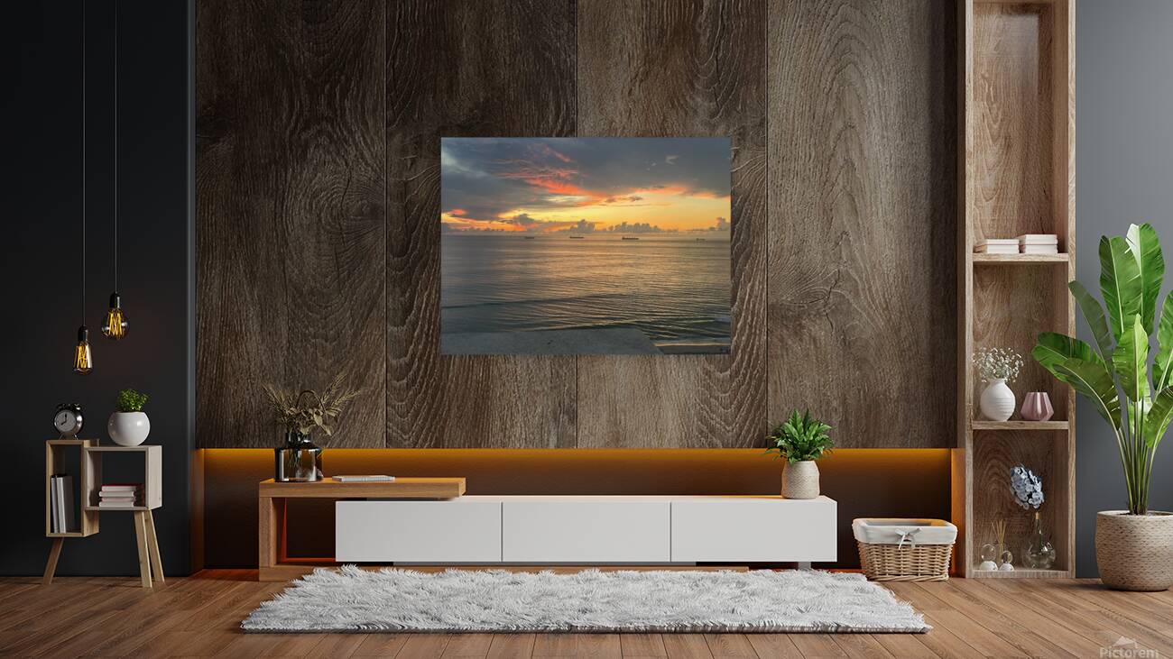 Florida Sun Selects 5 Reproduction