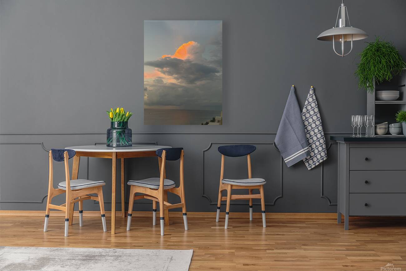 Florida Sun Selects 10 Reproduction