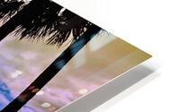 Florida Sun Selects 2 HD Metal print
