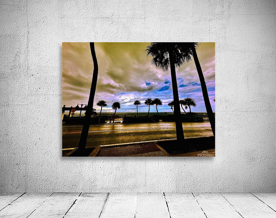 Florida Sun Selects 2 Wall Preview