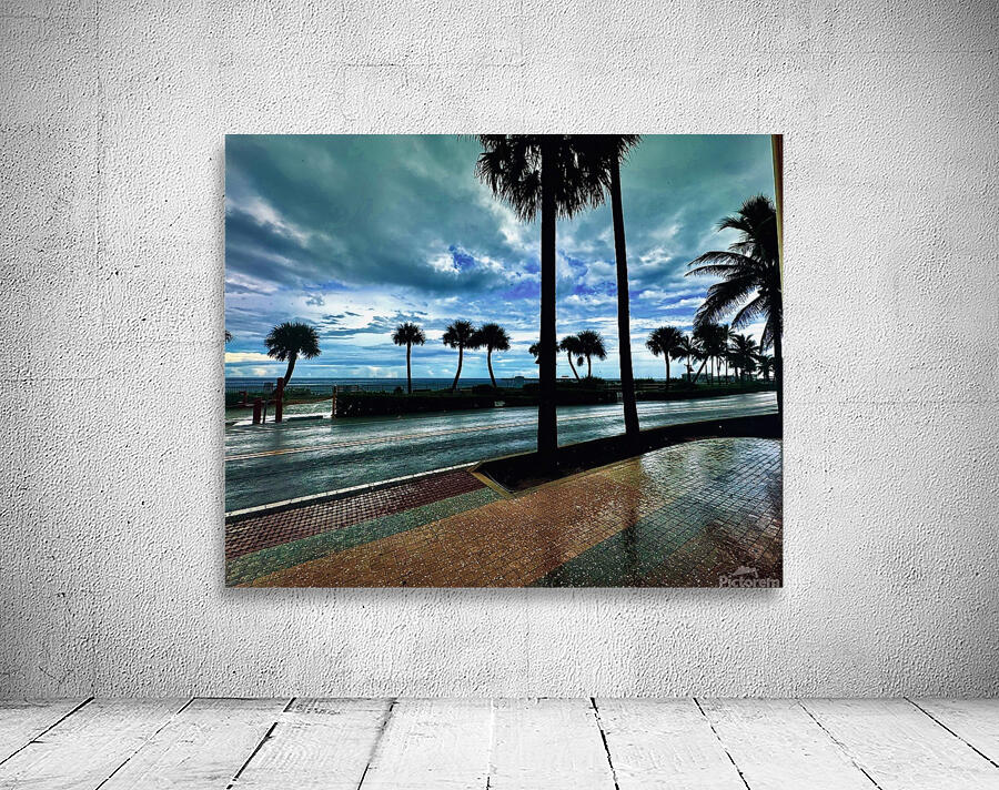 Florida Sun Selects 3 Wall Preview