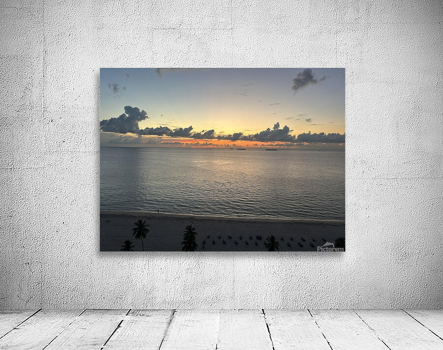 Florida Sun Selects 12 Wall Preview
