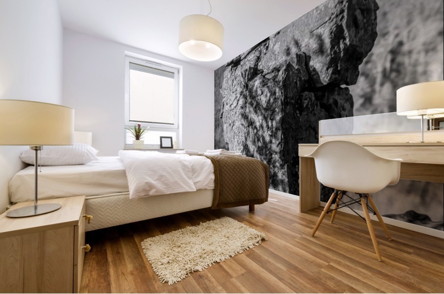 untitled Mural print