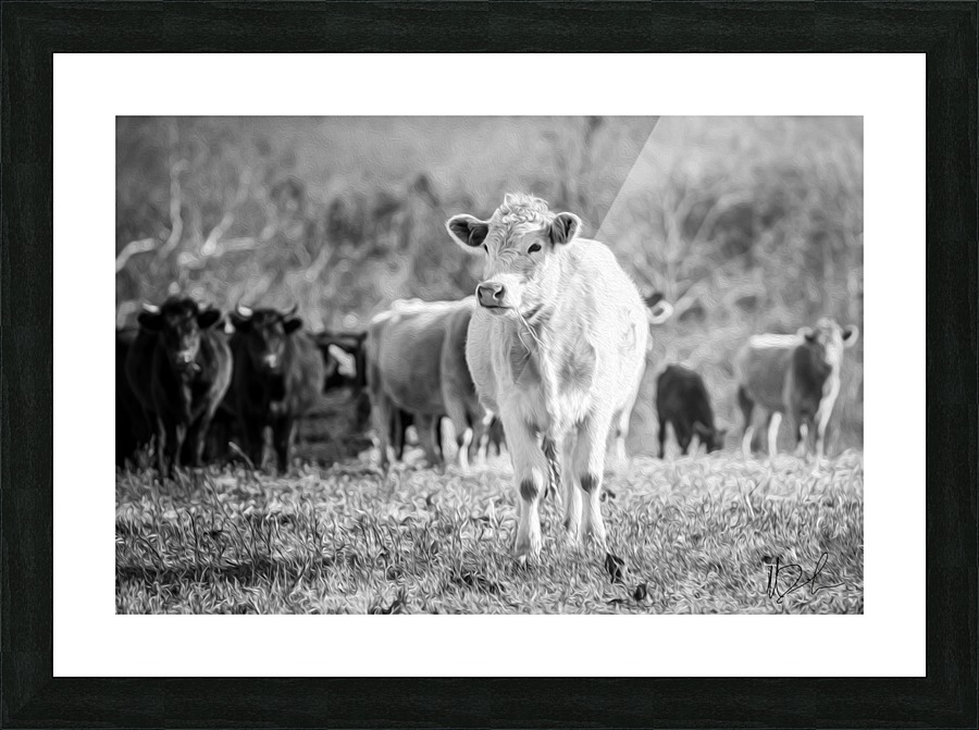 untitled Picture Frame print