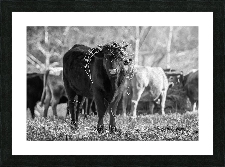 untitled Picture Frame print