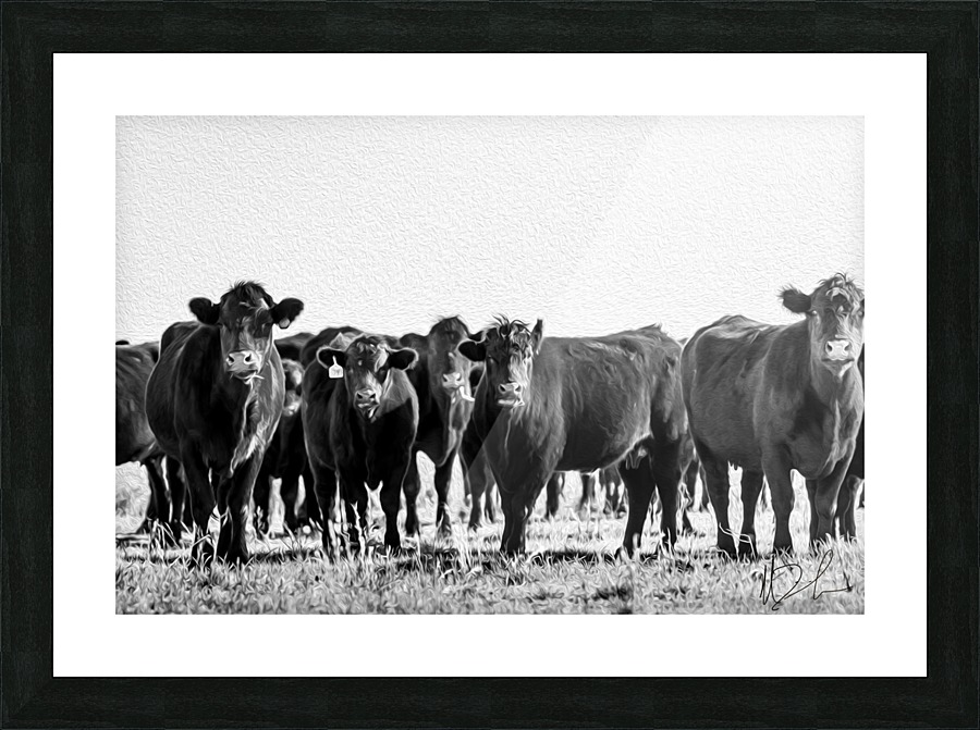 untitled Picture Frame print