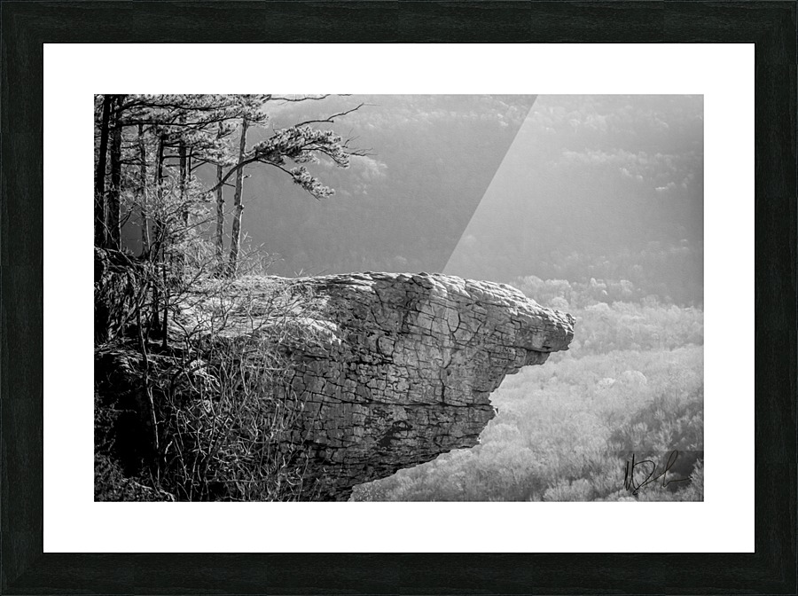 Whitaker Point Picture Frame print