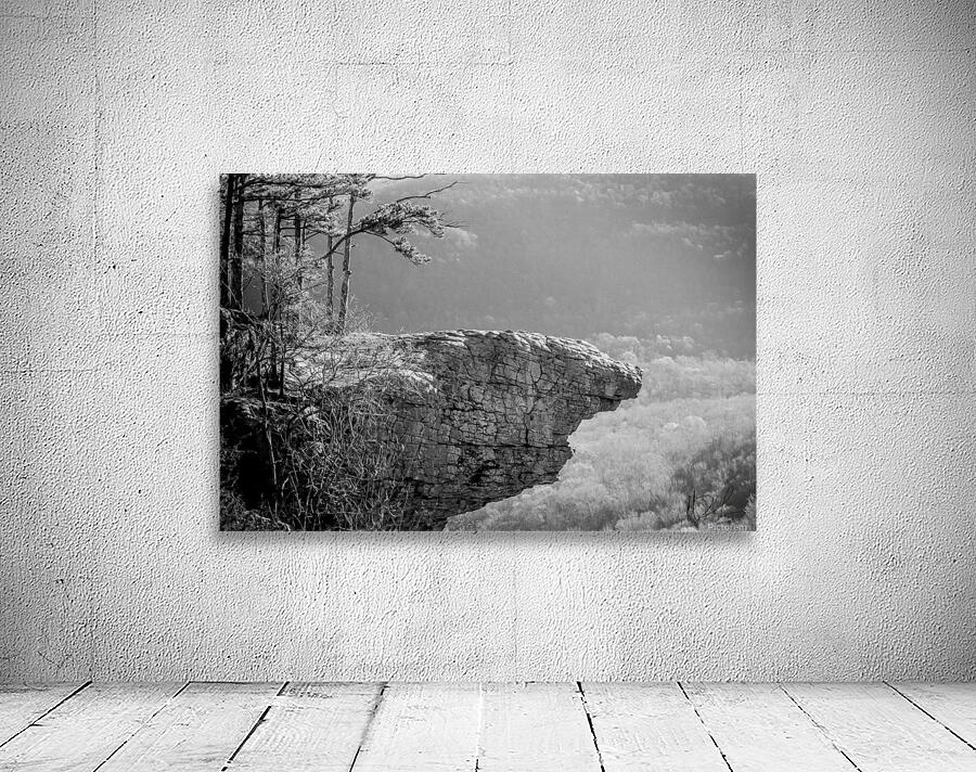 Whitaker Point Wall Preview