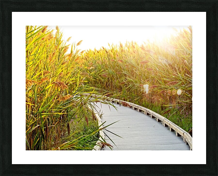 Boardwalk Bright Picture Frame print