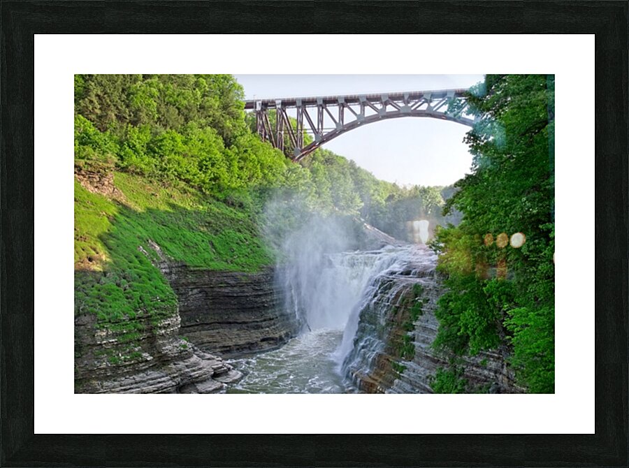 Genesee Roar Picture Frame print