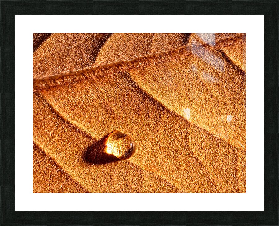 Drop Light Picture Frame print