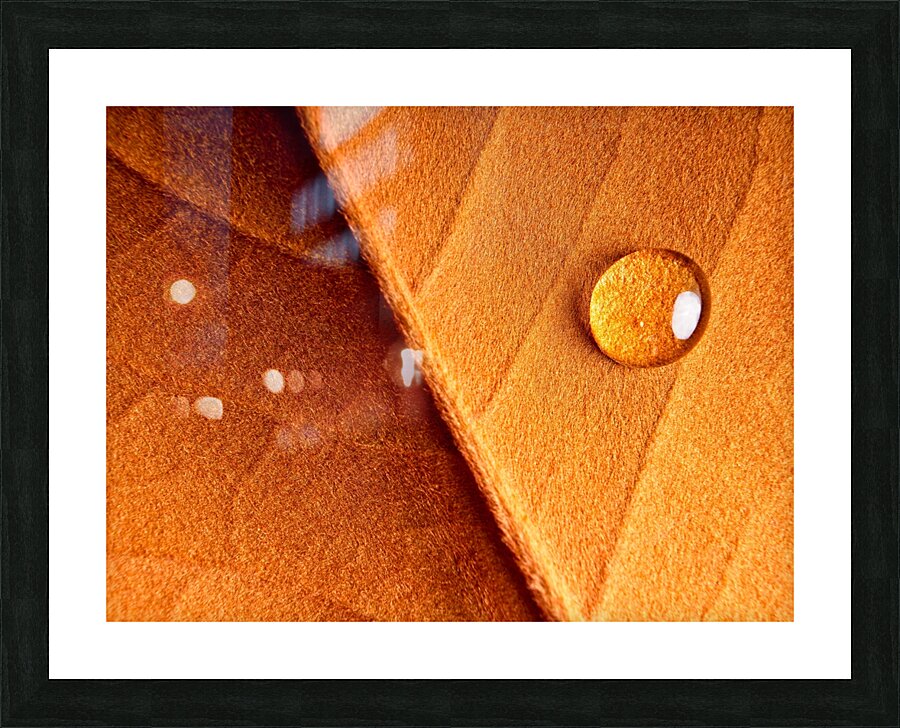 Drop Tension  Picture Frame print