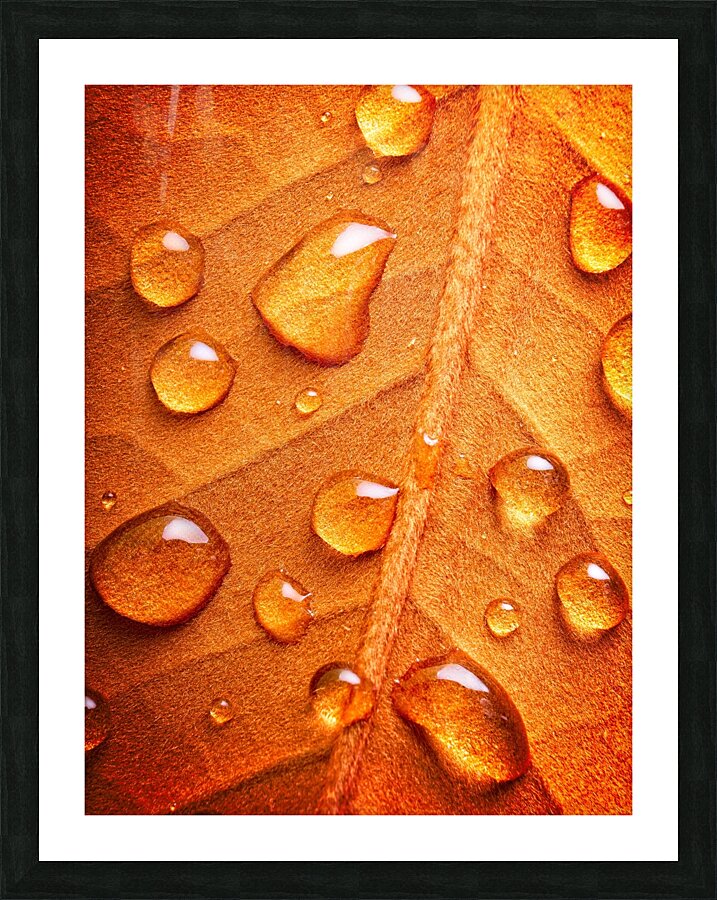 Warm Drops Picture Frame print