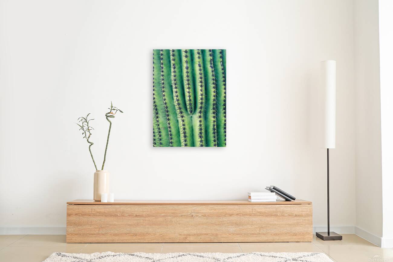 Saguaro Needle Reproduction