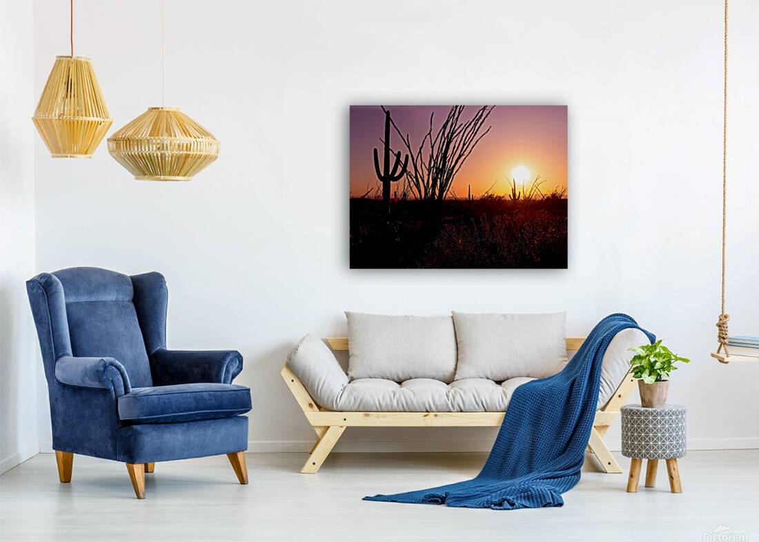 Saguaro Sun  Reproduction