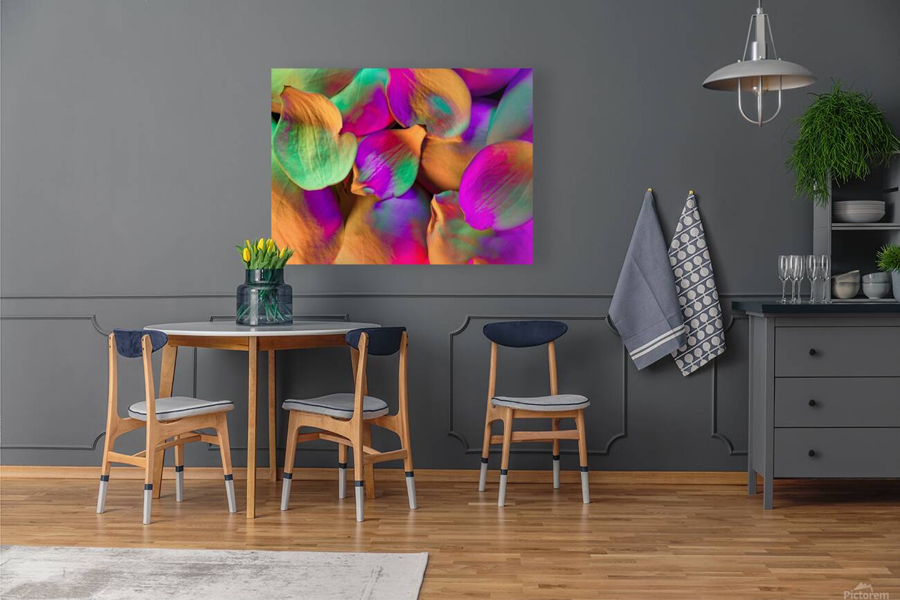 Magnolia Splash Reproduction