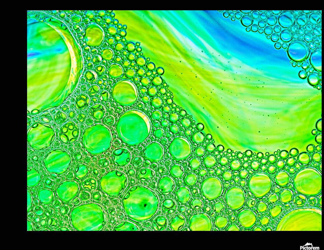 Bubble Plunge Reproduction