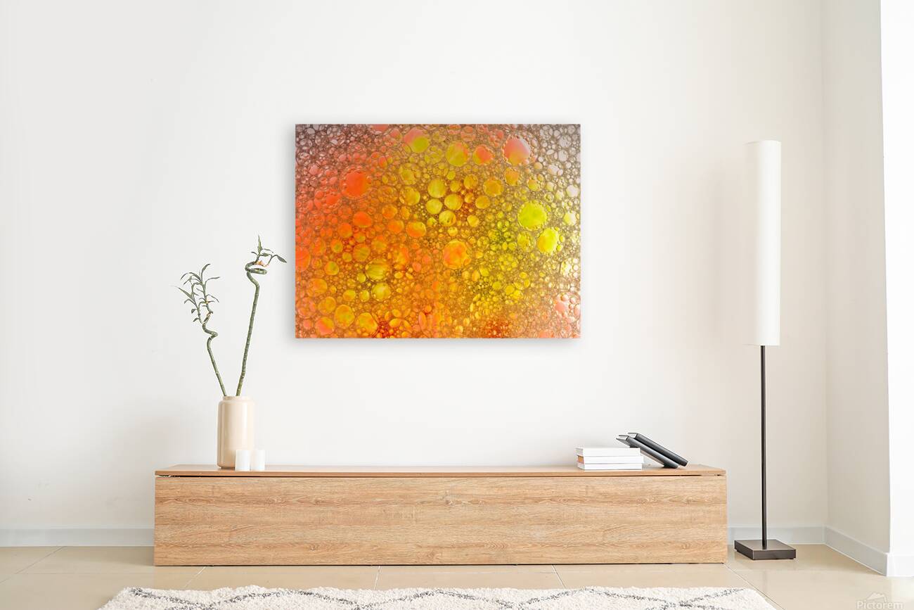 Sunny Bubble Reproduction
