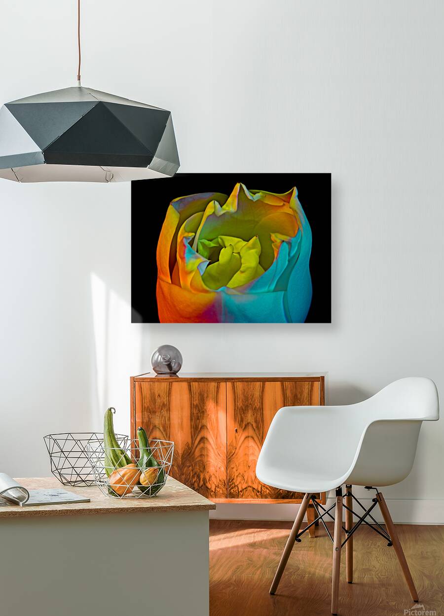 Magnolia Bloom Reproduction