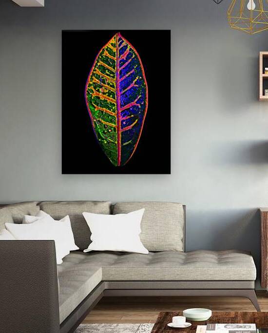 Croton Glow by Peter Blottman