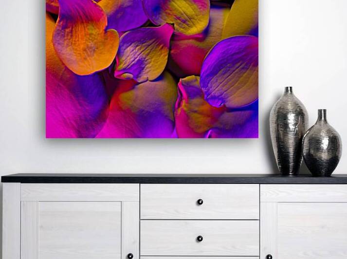 Magnolia Blush 3 by Peter Blottman