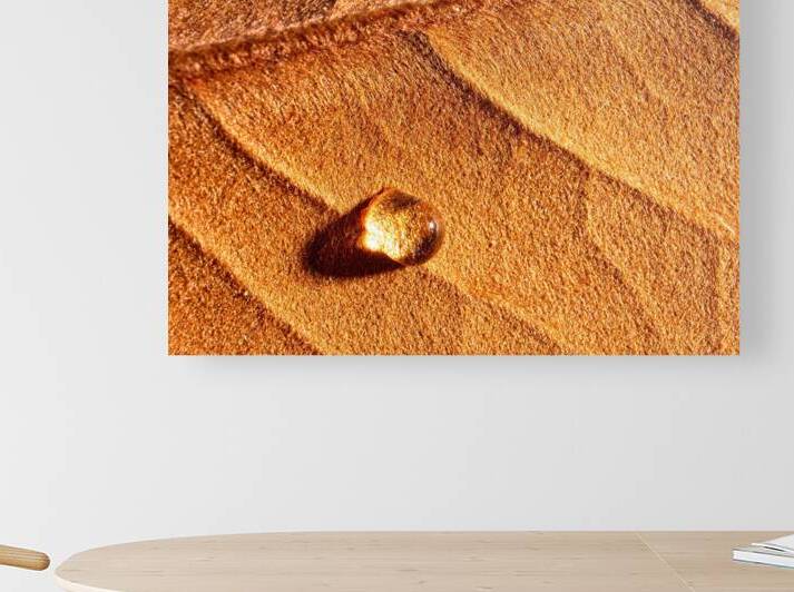 Drop Light by Peter Blottman