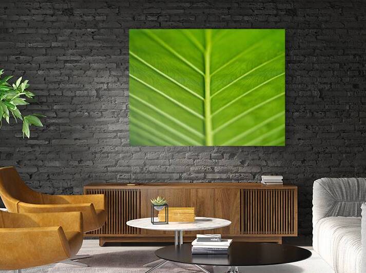 Green Vein by Peter Blottman