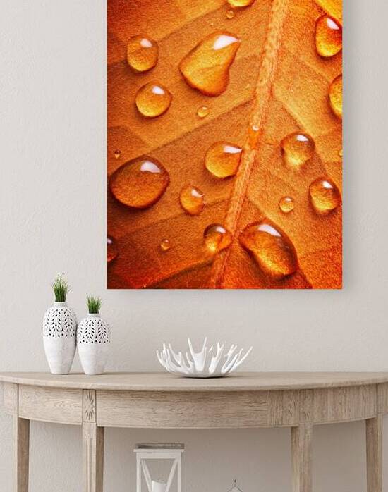 Warm Drops by Peter Blottman