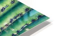 Saguaro Needle HD Metal print