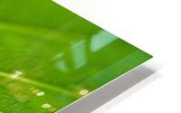 Green Vein HD Metal print