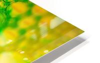 Green Pop HD Metal print