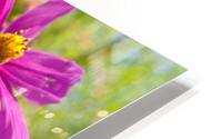 Busy Bee HD Metal print