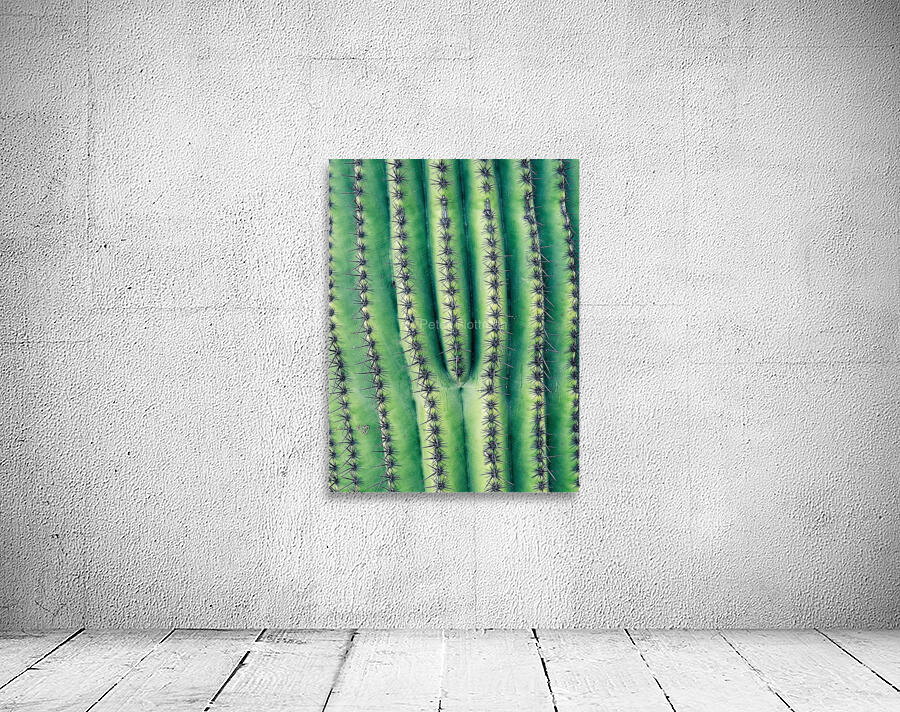 Saguaro Needle Wall Preview