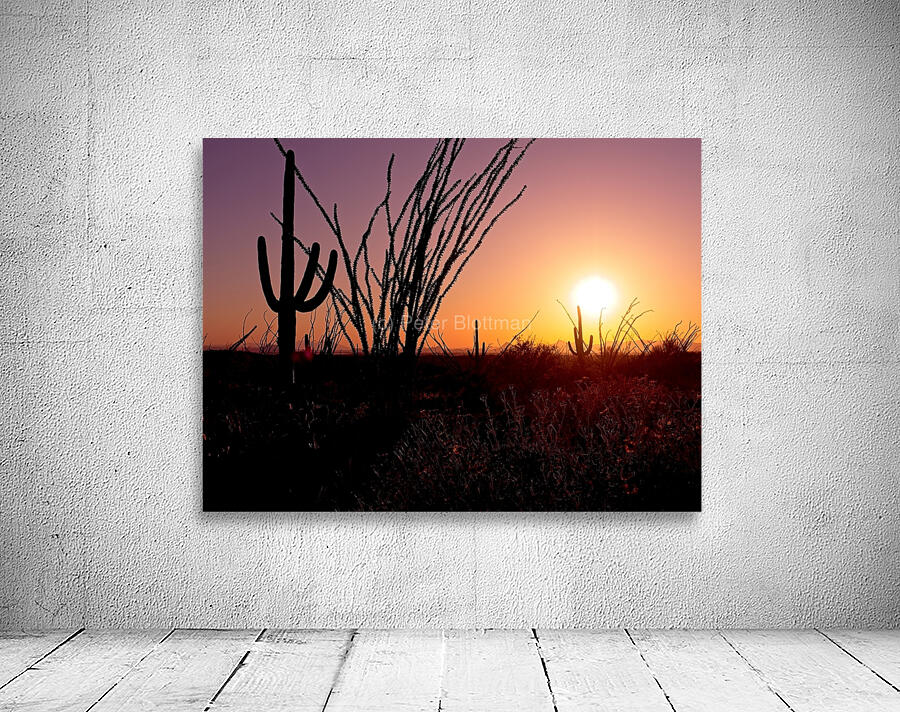 Saguaro Sun  Wall Preview