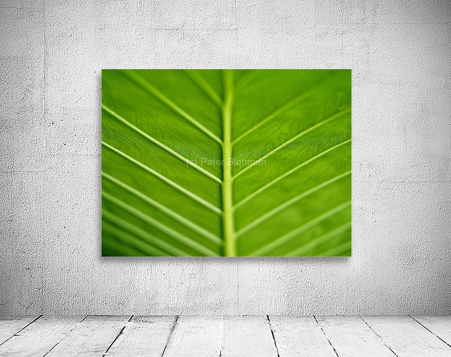 Green Vein Wall Preview